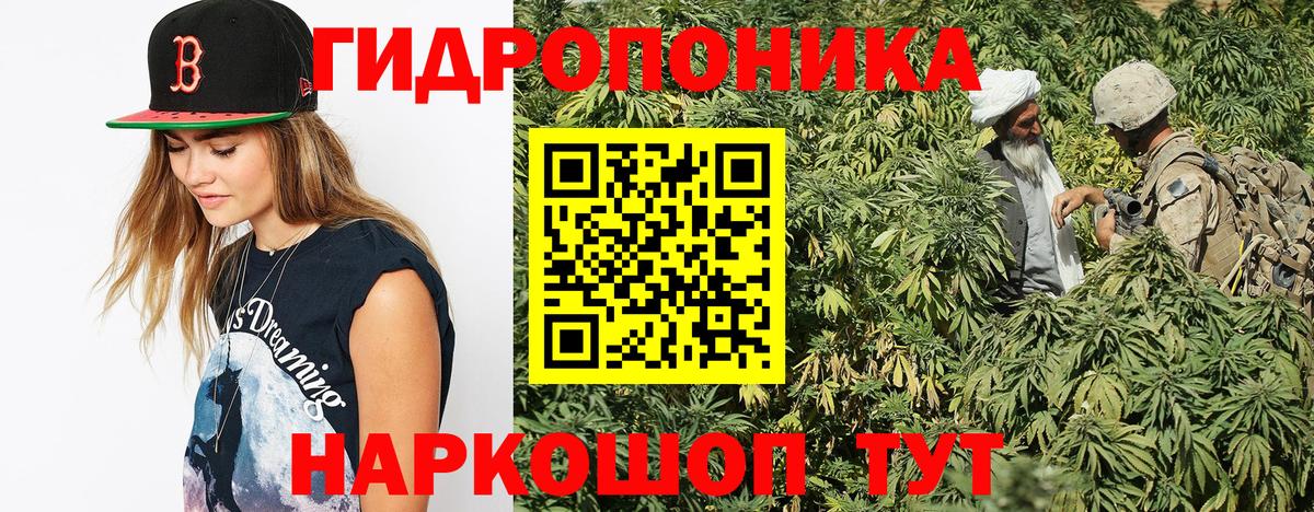 Марихуана THC 21%  Бошки марихуана планчик  Вход с VPN  Чайковский 